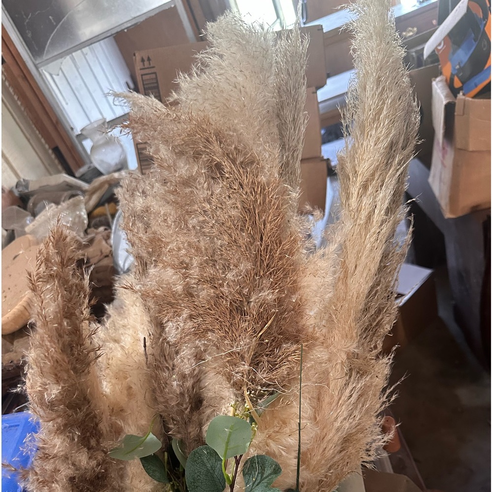 Pompous grass